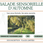 Balade sensorielle le long du canal à Aubignan, lumière d’automne, 9 novembre 2025