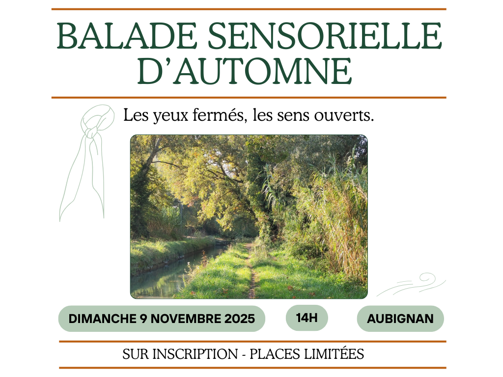 Balade sensorielle le long du canal à Aubignan, lumière d’automne, 9 novembre 2025