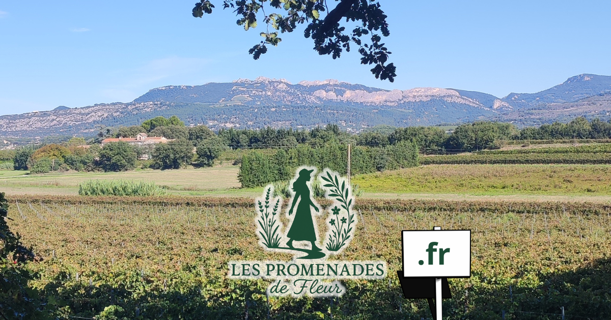 Annonce du nouveau site Les Promenades de Fleur en .fr, promenades nature en France