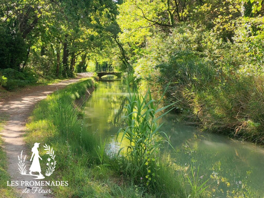 canal-aubignan