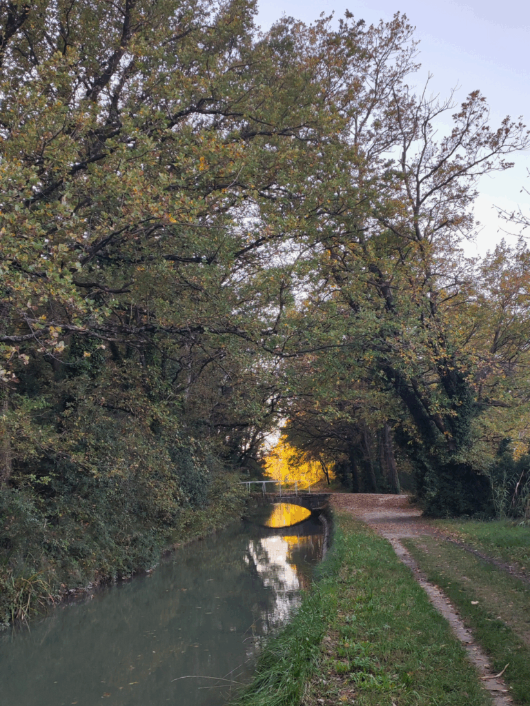 La lumière du soleil couchant d'automne nous guide vers la fin de la promenade.