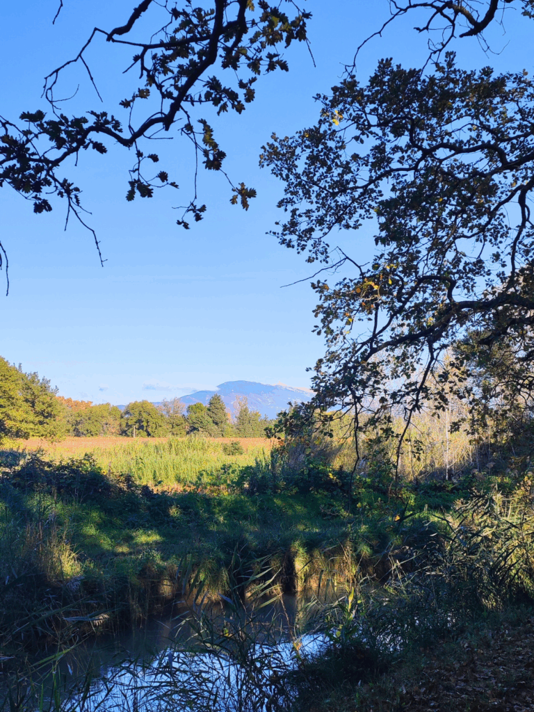 Le Mont Ventoux et sa force tranquille