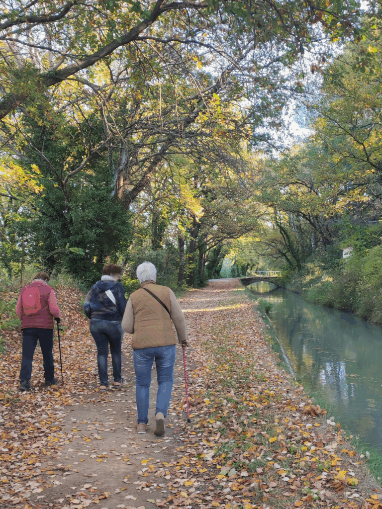 Groupe en balade sensorielle sur un chemin automnal en bord de canal