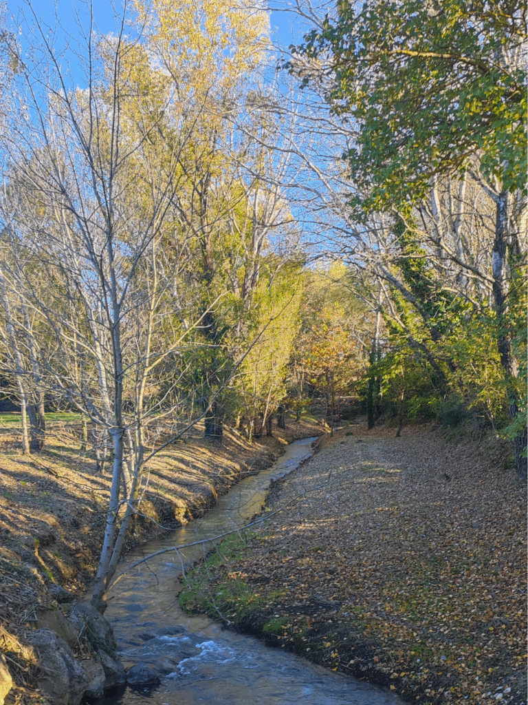 La Mède, à Carpentras, joli ruisseau aux couleurs automnales